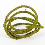 Liane Muschio di Vite Naturale REPTIZOO - 200 x 1 cm