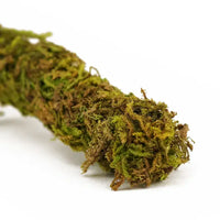 Liane Muschio di Vite Naturale REPTIZOO - 200 x 2 cm