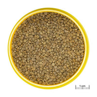 ProNovo Gourami Grano S JBL - Aliment de base en granulés pour Gouramis de 3 à 10 cm