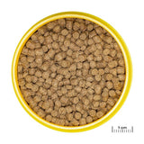 ProNovo Lotl Grano M JBL - Aliment de base en Granulés pour Axolotls de 8 à 20 cm