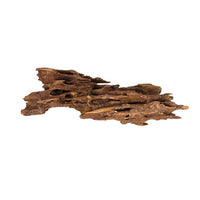 Racine Naturelle Shrimp Wood SCALARE - 15 à 25 cm