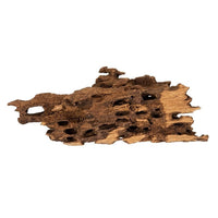 Racine Naturelle Shrimp Wood SCALARE - 28 à 42 cm