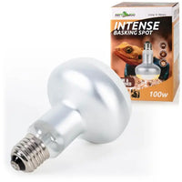 Lampe Basking Spot Intense REPTIZOO - 100W