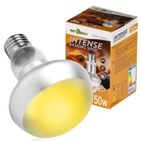 Lampe Basking Spot Intense REPTIZOO - 50W