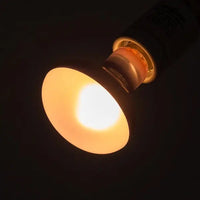 Lampe Basking Spot Daylight REPTIZOO - 75W