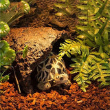 REPTIZOO Substrato di corteccia di pino - 8L