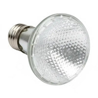 Spot Halogène REPTIZOO - 50W