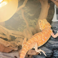 Lampe SuperSun UVA + UVB REPTIZOO - 100W