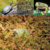 REPTIZOO Substrato di muschio del Cile - 100g