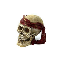 tete-de-mort-scalare-decoration-aquarium