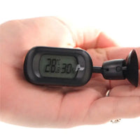 Thermomètre/Hygromètre Digital 360° REPTIZOO