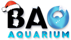 bao-aquarium-logo-de-noel