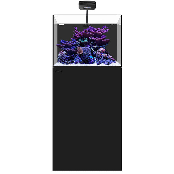 AQUAVIE Kit Cube 20 aquarium équipé 18 L complet pour poissons d