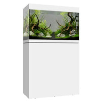 Aquarium Eden 40 Waterbox Weiß - 150 l