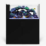 Peninsula 4820 Noir WATERBOX - Aquarium Marin 300 L