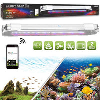 Éclairage LED Leddy Slim Link AQUAEL - Blanc 1 à 36W
