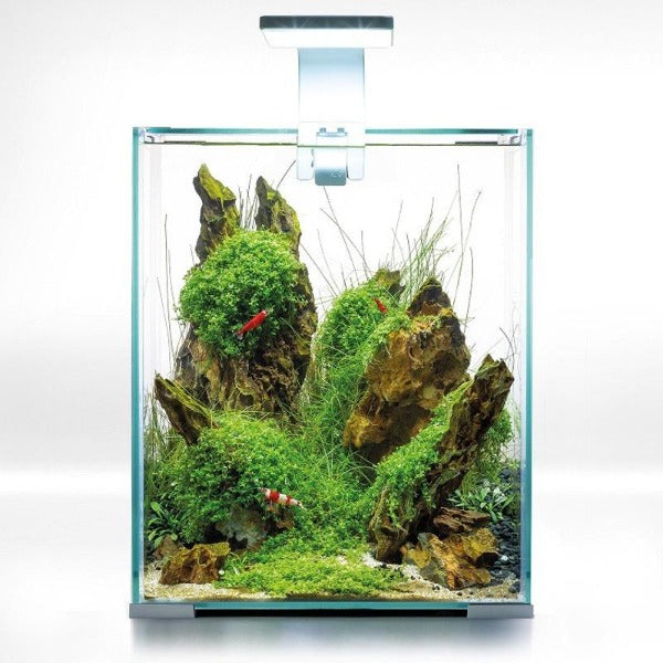 AQUAVIE Kit Cube Betta 10 nano aquarium complet 10 L. Dimensions