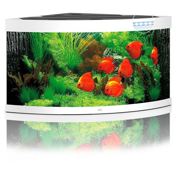 https://bao-aquarium.com/cdn/shop/products/aquarium-angle-juwel-trigon-350-led-tout-equipe-blanc-cuve.jpg?v=1578441644