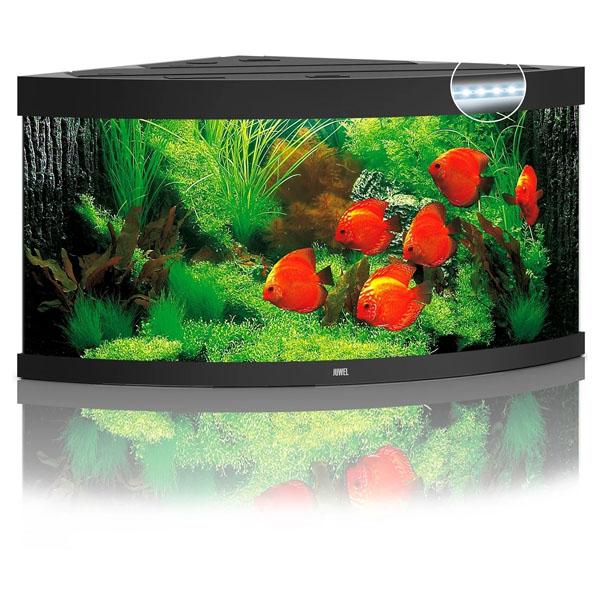Aquarium Équipé Vivaline LED 240 Combi Chêne Gris EHEIM - 16,5W
