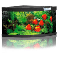 Aquarium Trigon 350 LED Noir Équipé JUWEL - 350L