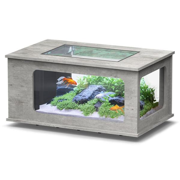 Aquatable 100 x 63 AQUATLANTIS Béton - Aquarium Équipé 177 L