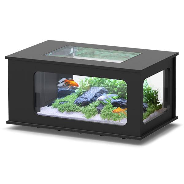 Aquatable 100 x 63 AQUATLANTIS Noir - Aquarium Équipé 177 L