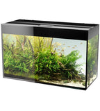 Aquarium Glossy 80 Noir Laqué LED AQUAEL - 125L