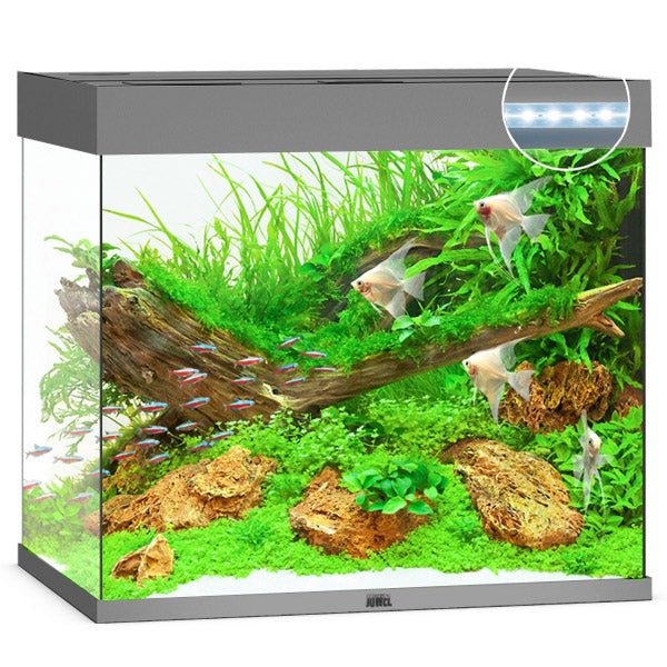 JUWEL Reglette Multilux LED 60 cm pour aquarium