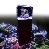 Aquarium Nano Ocean Cube Set 80 DUPLA Marin - 80L