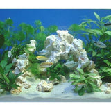 Roche Céramique Reef Plateau - 20 x 10 cm ARKA