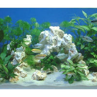 Roche Céramique Reef Plateau - 30 x 20 cm ARKA