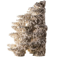 Roche Céramique 3D Reef Back Plane - 50 x 50 cm ARKA