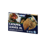 Catappa Leaves XL 12pcs HOBBY - Conditionneur d'Eau Naturel