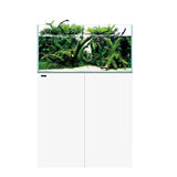 Aquarium Clear 3620 Blanc WATERBOX - 186 L