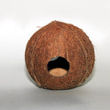 Cocos Cava 1/1 M JBL - Grotte Noix de Coco