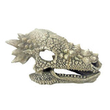 Crâne de Dragon AMTRA - 15,3 cm