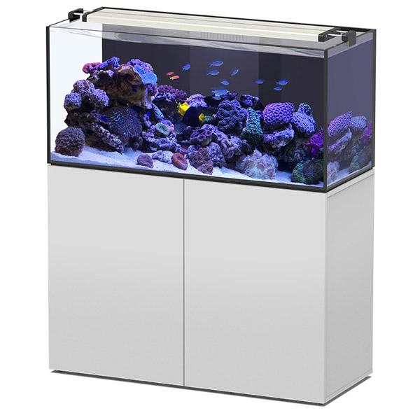 Aquaview SW 120 AQUATLANTIS Blanc Laqué - Aquarium Eau de Mer 278 L