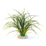 Plante Artificielle Fan Grass SYDECO - 30 cm