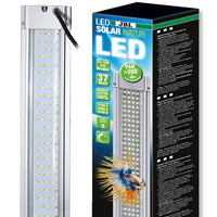 LED Solar Natur JBL - 37W pour Aquarium 75 à 100 cm