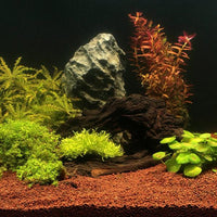 Substrat grossier naturel pour aquarium, sable blanc, 10 lb, 25 lb