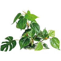 Plante Artificielle Anubia AMTRA - 30 cm