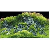 Poster de Fond Double Face Planted River / Green Rocks - HOBBY 60 x 30 cm