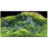 Poster de Fond Double Face Planted River / Green Rocks - HOBBY 60 x 30 cm