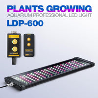 Rampe LED eau douce LICAH - LDP-600