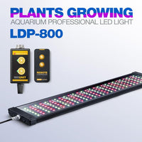 Rampe LED eau douce LICAH - LDP-800