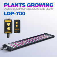 Rampe LED eau douce LICAH - LDP-700