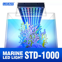 Rampe LED Récifal LICAH STD-1000
