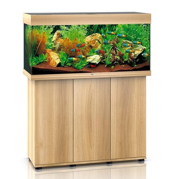 AMTRA Racine naturelle Red Wood 40 45cm pour aquariums et terrariums -  Décorations pour aquarium/Racines naturelles -  - Aquariophilie