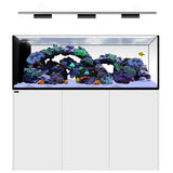 Peninsula 6025 Blanc WATERBOX - Aquarium Marin 527 L